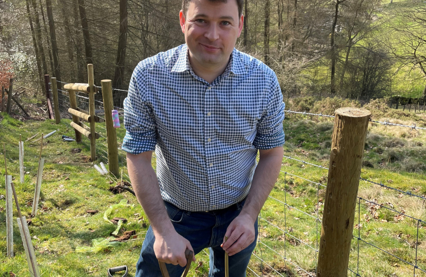 MP calls on residents to suggest sites to plant new trees locally
